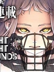 推理小说 回声证词 完结免费
